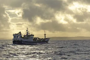 2020vision Prints: Fraserburgh pelagic trawler Forever Grateful fishing for Atlantic mackerel