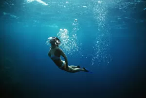 Free diver coming up from dive to explore coral reef, Sinai, Egypt, Red Sea Model