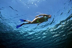 Images Dated 2nd September 2010: Free diver exploring blue water beside coral reef, Sinai, Egypt, Red Sea Model released