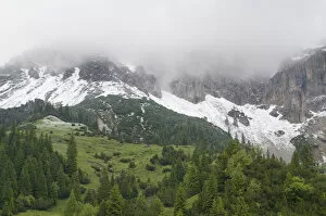 Fresh snow below mountains hidden in clouds with European larch trees (Larix decidua) growing