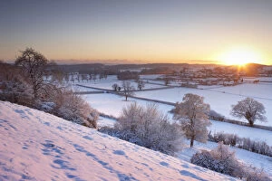 Images Dated 18th December 2010: Frost and snow on the trees at sunset. East Hill overlooking Milborne Port, Somerset