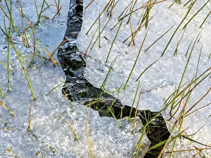 Lake District Prints: Frozen floodwater on a watermeadow in winter