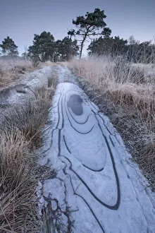 Frozen water patterns in Klein Schietveld, Brasschaat, Belgium