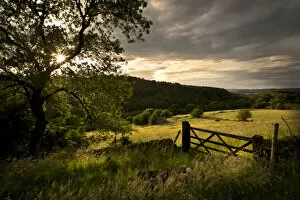 Gate into field of hay meadow in stormy light, Birchover, Peak District National Park