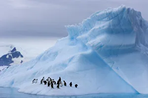 Images Dated 2007 January: 