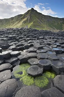 Images Dated 3rd September 2013: Giants Causeway, looking in to land, Causeway coast, Antrim county, Northern Ireland