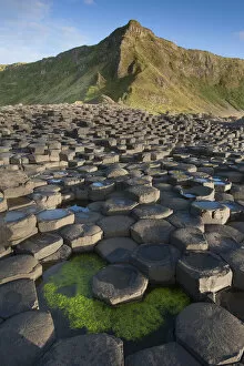 Exploring Britain Collection: Giants Causeway, looking in to land, Causeway coast, Antrim county, Northern Ireland
