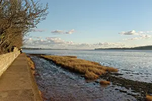 Path Prints: The Goat Walk along the Exe Estuary at dusk, Topsham, Devon, England, UK. January, 2024