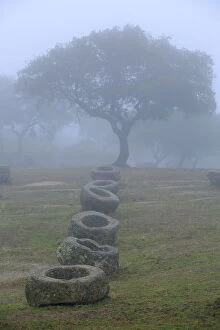 Granite feeding troughs for bulls in the fog in Sierra de Andujar Natural Park, Jaen