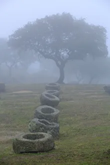 Andres M Dominguez Gallery: Granite feeding troughs for bulls in the fog in Sierra de Andujar Natural Park, Jaen