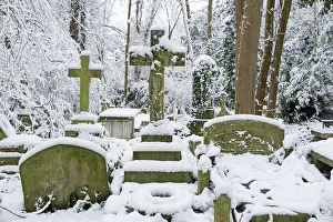 London Prints: Gravestones covered in snow, Highgate cemetery, London, England, UK. February, 2021