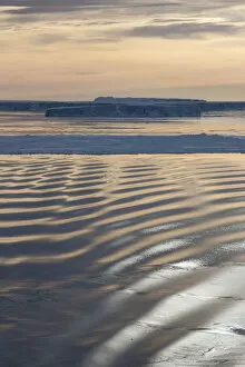 Sue Flood Gallery: Grease ice forming on the on the waters surface in Weddell Sea, Antarctica