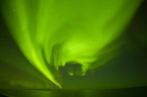Images Dated 2nd October 2011: Green Aurora borealis over the Beaufort Sea, seen from the 1002 area of the Arctic