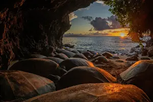Hawaii Islands Prints: Group of Green turtles (Chelonia mydas) resting in a cave at sunset
