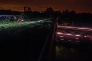 Grazing Prints: Group of Roe deers (Capreolus capreolus) grazing on a wildlife crossing above the A10 highway at night