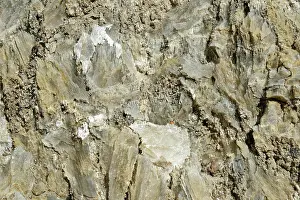 Crystals Prints: Gypsum / Selenite crystals visible in rock face