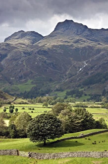 Images Dated 6th September 2010: Harrison Stickle and Great Langdale Valley. Lake District, Cumbria, England. September 2010