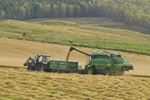 Agriculture Gallery: Harvesting barley crop in late summer, Scotland, UK