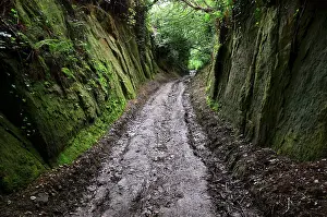 Path Prints: Hell Lane holloway, Symondsbury, Dorset, England, UK, June 2021