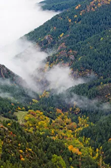 Images Dated 5th July 2011: A high view of mist shrouding an autumnal valley. Cadi Natural Park, Catalonia, Barcelona province