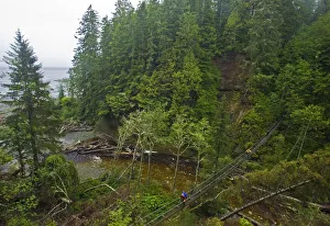 Hikers crossing a thin footbridge over a river. The West Coast Trail, Pacific Rim National Park Hikers crossing a thin footbridge over a river. The West Coast Trail, Pacific Rim National Park