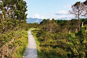 Path Prints: Hiking trail through moorland with mountains in background