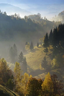 Hilly landscape in the morning light, Magura, Piatra Craiului National Park, Transylvania
