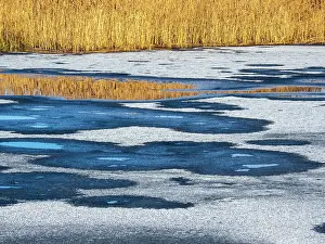 Reedbed Prints: Holes in the ice on lake surrounded by reedbeds in winter