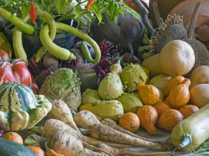 Home-grown fruit and vegetables harvested in the autumn. October Home-grown fruit and vegetables harvested in the autumn. October