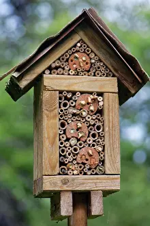 Megachile Prints: Home-made insect hotel with a range of Bamboo stems and drilled hole sizes for different species