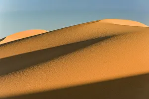Arid Gallery: Hongotlyn Dunes, Gobi Desert, Mongolia. October 2008