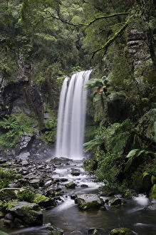 Images Dated 9th July 2008: Hopetoun Falls on Aire River, Great Otway National Park, Victoria, Australia