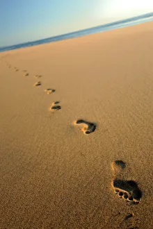 Arty Prints: Human footprints in the sand, Sandymouth bay, Cornwall, UK