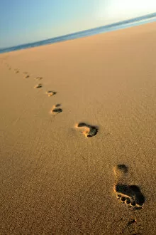 Ross Hoddinott Collection: Human footprints in the sand, Sandymouth bay, Cornwall, UK