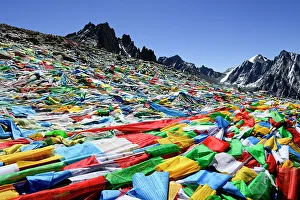 Buddhism Prints: Hundreds of prayer flags at Dolma La Pass