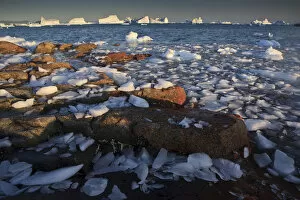 Images Dated 27th August 2009: Ice on the coast with icebergs in the distance, Saqqaq, Greenland, August 2009