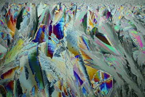 Abstract Collection: Ice crystals viewed by polarised light