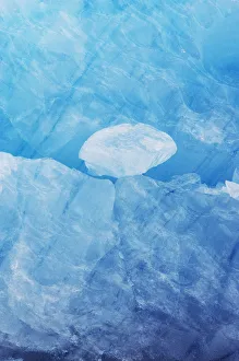 Images Dated 2010 August: 