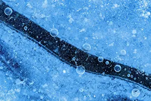 Cryptic Prints: Ice patterns in frozen puddle, Frogham, New Forest, Hampshire, England, UK. November