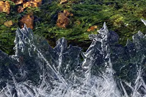Surface Prints: Ice patterns on partially frozen stream across heathland