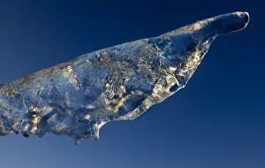 Images Dated 28th August 2009: Ice, Saqqaq, Greenland, August 2009