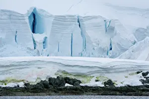 Polar Prints: Ice shelf with crevasses along the shore, Antarctic Peninsula, Antarctica. January, 2023
