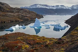 2020 January Highlights Gallery: Icebergs and autumn tundra near Rode O (Red Island) in Rode Fjord (Red Fjord), Scoresby Sund