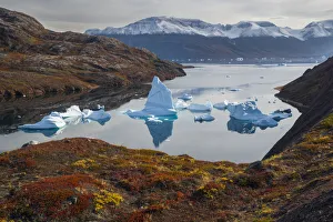 Arctic Ocean Prints: Icebergs and autumn tundra near Rode O (Red Island) in Rode Fjord (Red Fjord)