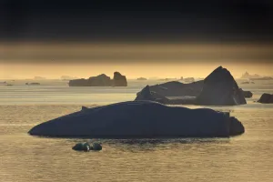 Images Dated 28th August 2009: Icebergs, Saqqaq, Greenland, August 2009