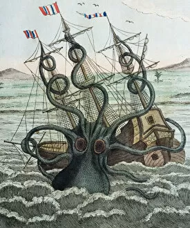 Illustration of Giant Octopus (Octopus dofleini) attacking a ship