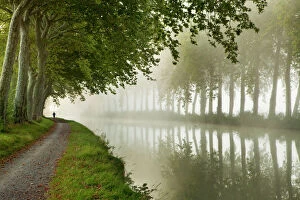 Trending: A jogger on the towpath of the Canal du Midi near Castelnaudary, Languedoc-Rousillon, France