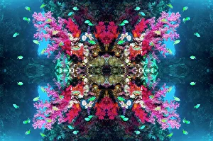 Kaleidoscopic image of Blue-green chromis (Chromis atripectoralis) Coral reef landscape