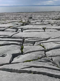 Images Dated 9th June 2009: Karst limestone landscape, The Burren, County Clare, Ireland, June 2009