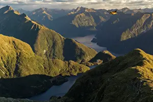 Blurred Movement Prints: Kea (Nestor notabilis) in flight over an alpine lake with Doubtful Sound in the background